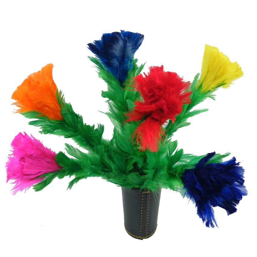 Fiori di piuma per apparizione – 6F - immagine 2